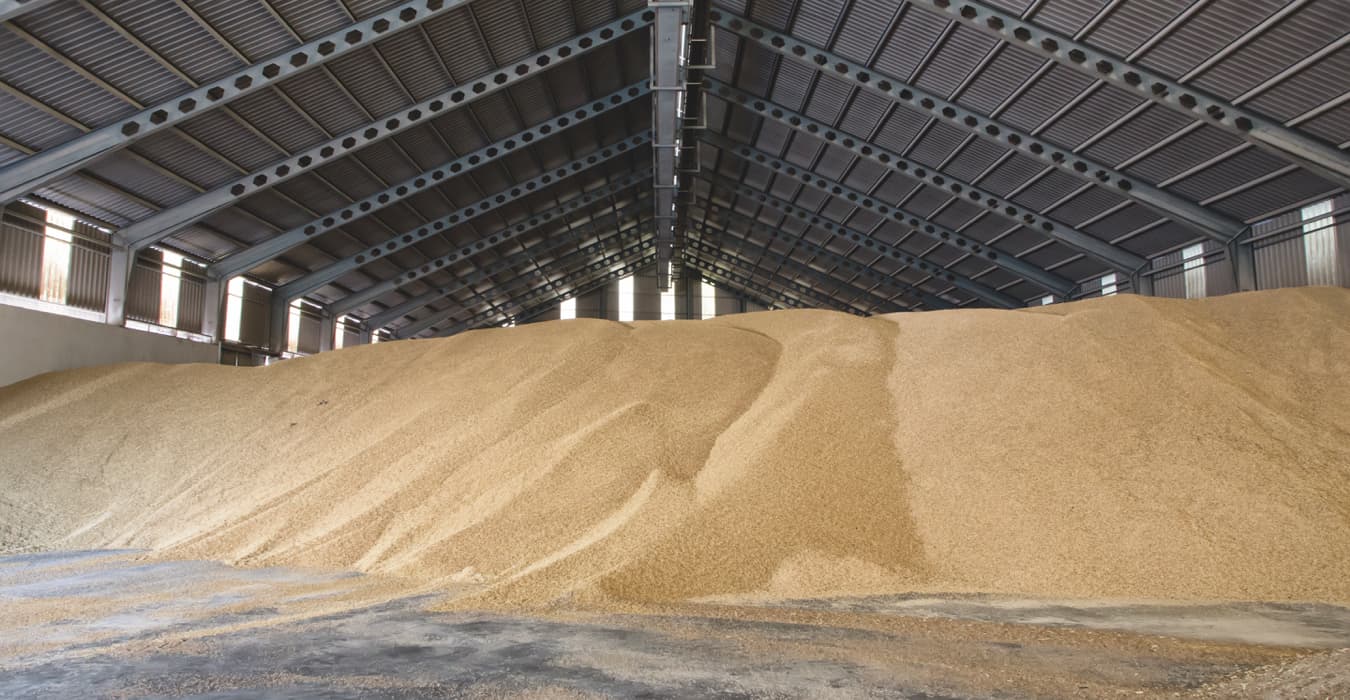 Stanza di conservazione e stoccaggio sicuro dei cereali per farine trattati con prodotti Newpharm