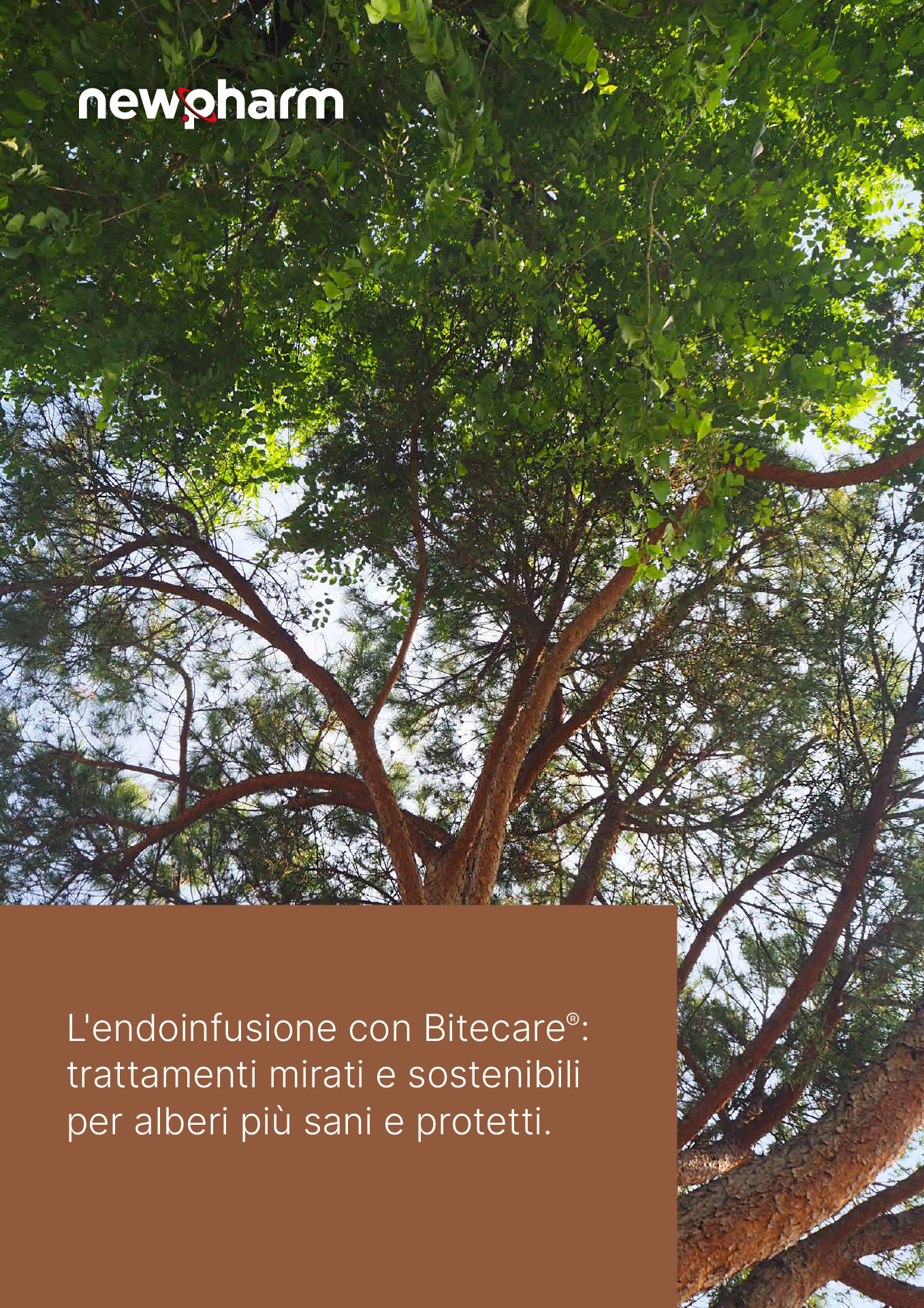 Bitecare – La rivoluzione dell’endoterapia
