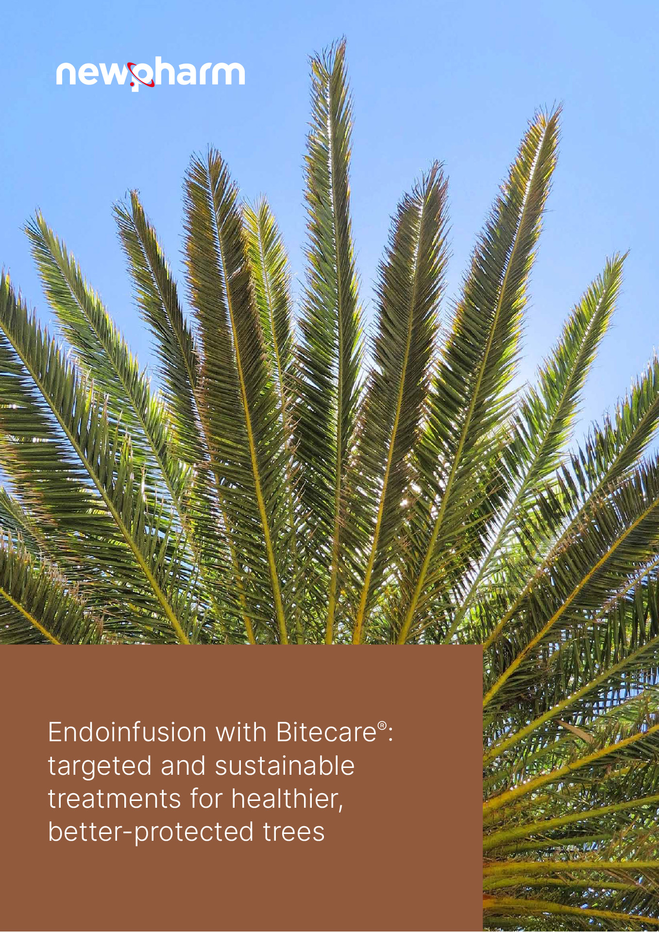 Bitecare Endoinfusion