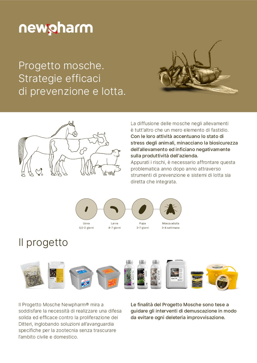 Pieghevole progetto mosche