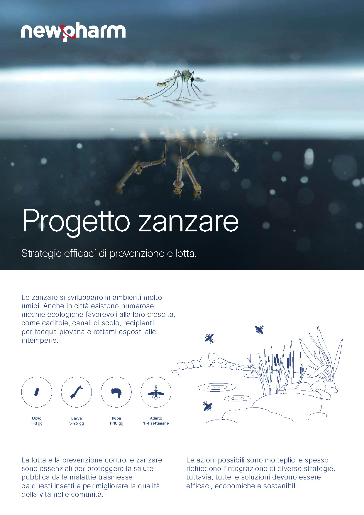 Pieghevole progetto zanzare
