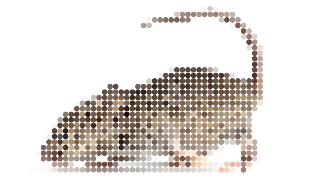 10th April: Sustainable Rodent Management