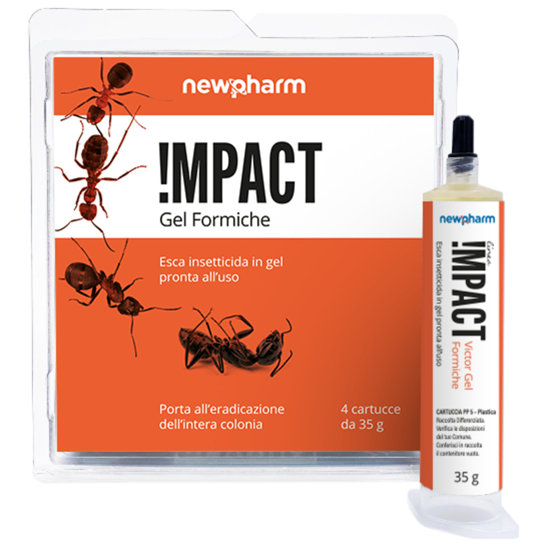 Impact Gel Formiche