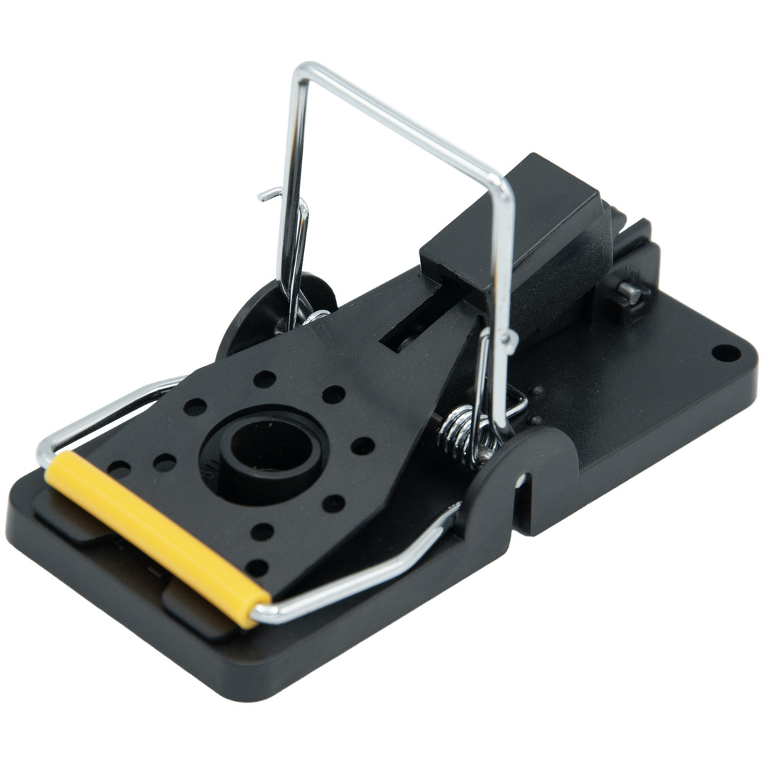 Snap Trap Mini